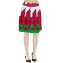 Flag of Wales Pleated Skirt View1