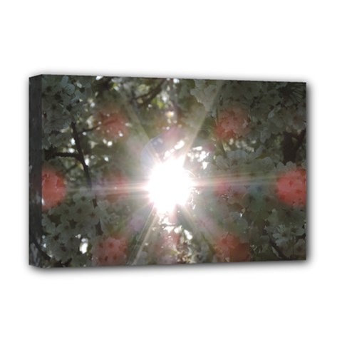Sun Rays Through White Cherry Blossoms Deluxe Canvas 18  X 12   by picsaspassion