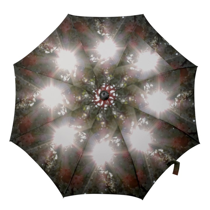 Sun rays through white cherry blossoms Hook Handle Umbrellas (Medium)
