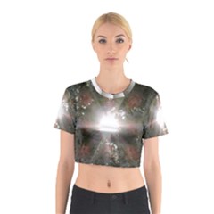 Sun Rays Through White Cherry Blossoms Cotton Crop Top by picsaspassion