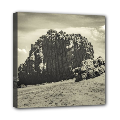 Big Rock At Praia Malhada Jericoacoara Brazil Mini Canvas 8  X 8  by dflcprints