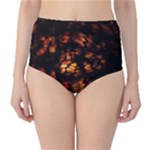 FIRE DRAGON High-Waist Bikini Bottoms