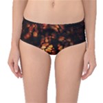 FIRE DRAGON Mid-Waist Bikini Bottoms