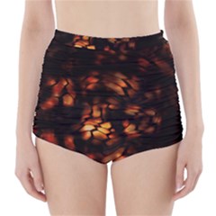 Fire Dragon High-waisted Bikini Bottoms by RespawnLARPer