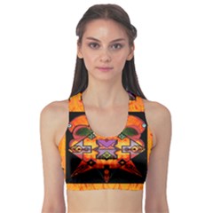 Clothing (20)6k,kk Sports Bra by MRTACPANS