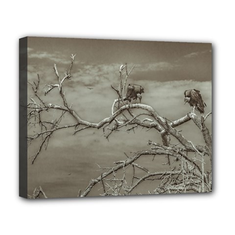 Vultures At Top Of Leaveless Tree Deluxe Canvas 20  X 16   by dflcprints