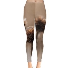 2  Verwelkte Kugeldistel Leggings  by wsfcow