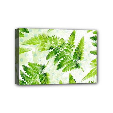 Fern Leaves Mini Canvas 6  X 4  by DanaeStudio