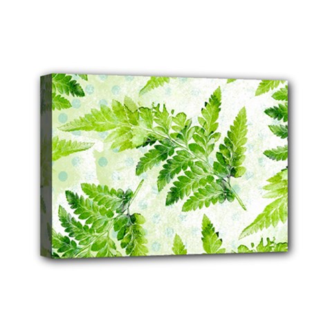 Fern Leaves Mini Canvas 7  X 5  by DanaeStudio