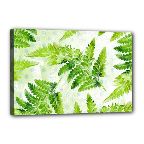 Fern Leaves Canvas 18  X 12  by DanaeStudio