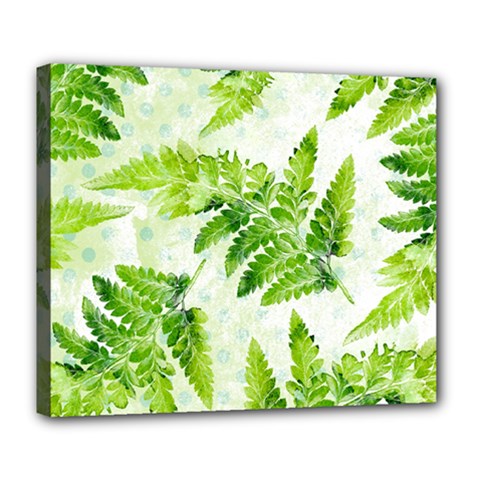 Fern Leaves Deluxe Canvas 24  X 20   by DanaeStudio