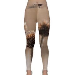 Withered Globe Thistle In Autumn Macro Yoga Leggings  by wsfcow
