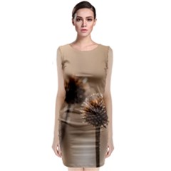 Withered Globe Thistle In Autumn Macro Classic Sleeveless Midi Dress by wsfcow