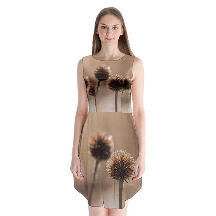 Withered Globe Thistle In Autumn Macro Sleeveless Chiffon Dress  