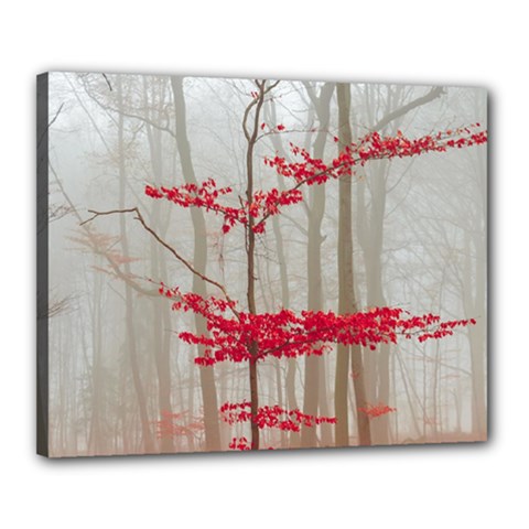 Magic Forest In Red And White Canvas 20  X 16  by wsfcow