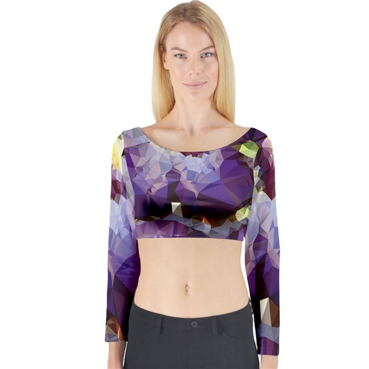 Purple Abstract Geometric Dream Long Sleeve Crop Top