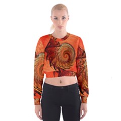 Nautilus Shell Abstract Fractal Women s Cropped Sweatshirt