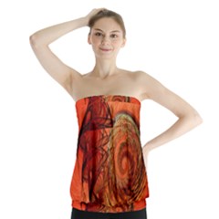 Nautilus Shell Abstract Fractal Strapless Top