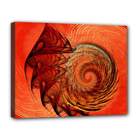 Nautilus Shell Abstract Fractal Canvas 14  x 11 