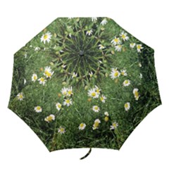 White Daisy Flowers Folding Umbrellas by picsaspassion