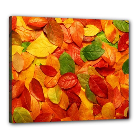 Colorful Fall Leaves Canvas 24  x 20 