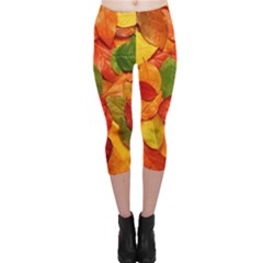 Colorful Fall Leaves Capri Leggings 