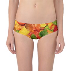 Colorful Fall Leaves Classic Bikini Bottoms