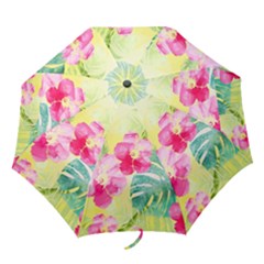 Tropical Dream Hibiscus Pattern Folding Umbrellas by DanaeStudio