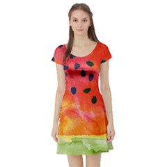 Abstract Watermelon Short Sleeve Skater Dress by DanaeStudio