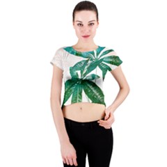 Pachira Leaves  Crew Neck Crop Top by DanaeStudio