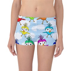 Cute Colorful Birds  Reversible Bikini Bottoms by Valentinaart