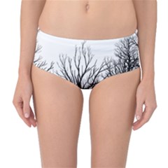 Forest Mid-waist Bikini Bottoms by Brittlevirginclothing