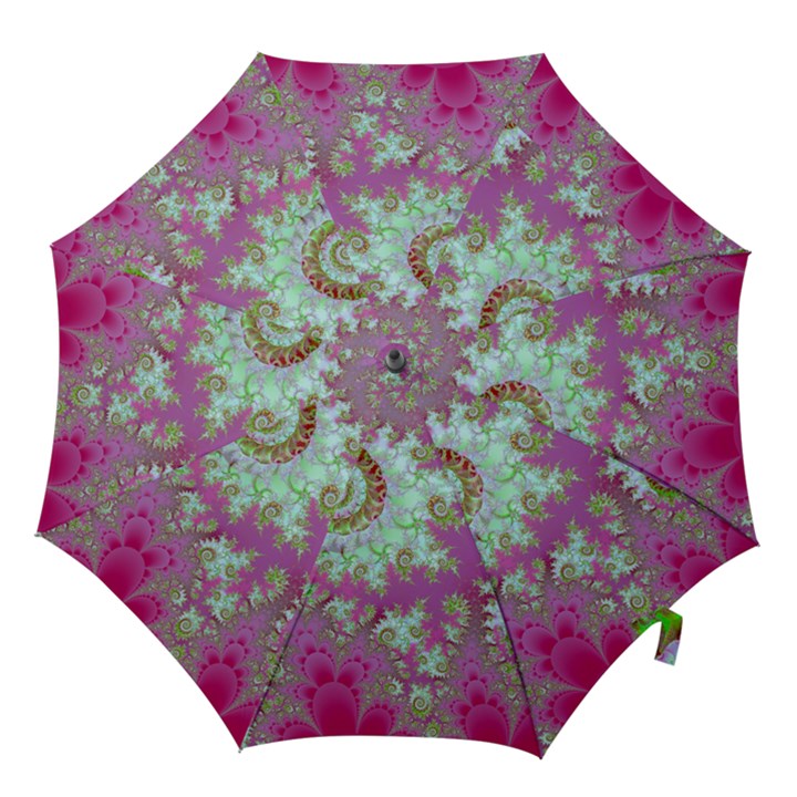 Raspberry Lime Surprise, Abstract Sea Garden  Hook Handle Umbrellas (Medium)