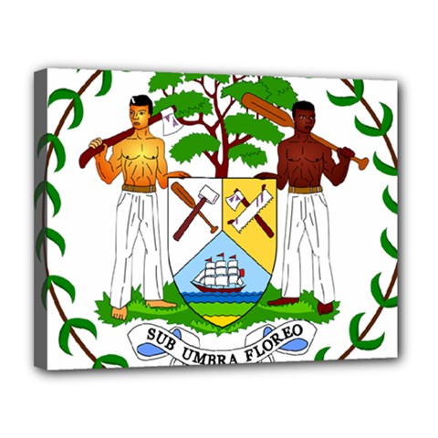 Coat Of Arms Of Belize Canvas 14  X 11  by abbeyz71