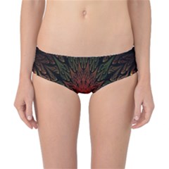 Sun Classic Bikini Bottoms