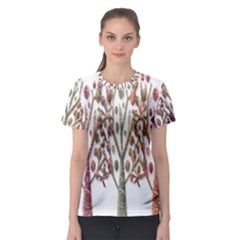 Magical Autumn Trees Women s Sport Mesh Tee