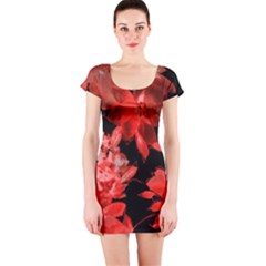 red flower  Short Sleeve Bodycon Dress