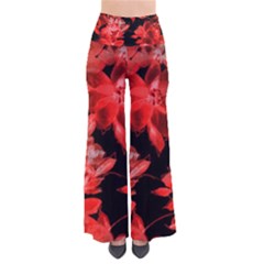 Red Flower  Pants by Brittlevirginclothing