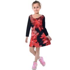 Red Flower  Kids  Long Sleeve Velvet Dress by Brittlevirginclothing