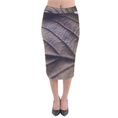 Leaf Veins Nerves Macro Closeup Velvet Midi Pencil Skirt by Amaryn4rt