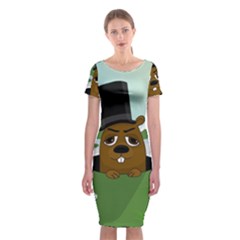 Groundhog Classic Short Sleeve Midi Dress by Valentinaart