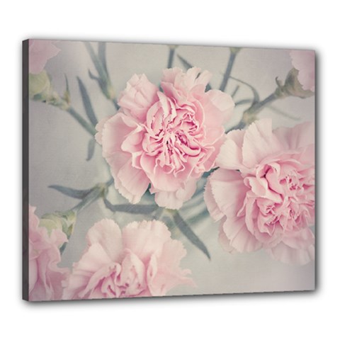 Cloves Flowers Pink Carnation Pink Canvas 24  x 20 