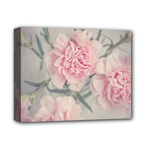 Cloves Flowers Pink Carnation Pink Deluxe Canvas 14  x 11 