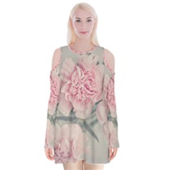 Cloves Flowers Pink Carnation Pink Velvet Long Sleeve Shoulder Cutout Dress