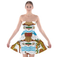 Coat Of Arms Of Guyana Strapless Bra Top Dress by abbeyz71