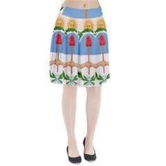 Coat Of Arms Of Argentina Pleated Skirt by abbeyz71