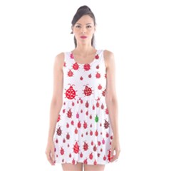 Beetle Animals Red Green Fly Scoop Neck Skater Dress