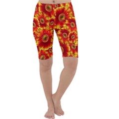 Gerbera Flowers Blossom Bloom Cropped Leggings  by Amaryn4rt