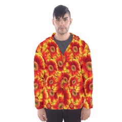 Gerbera Flowers Blossom Bloom Hooded Wind Breaker (men) by Amaryn4rt