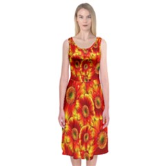 Gerbera Flowers Blossom Bloom Midi Sleeveless Dress by Amaryn4rt